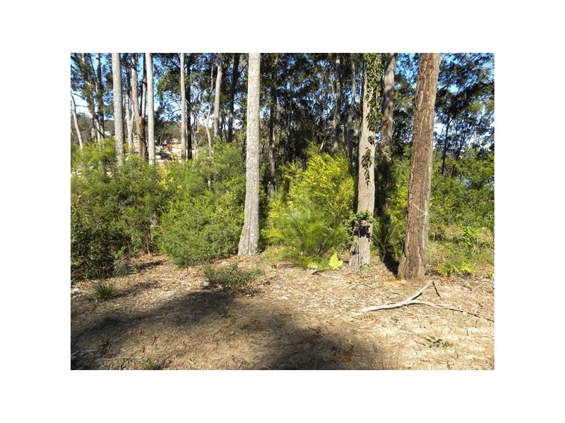 81 Litchfield Crescent, Long Beach NSW 2536