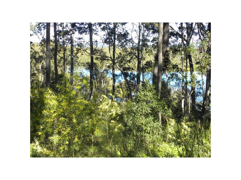 81 Litchfield Crescent, Long Beach NSW 2536