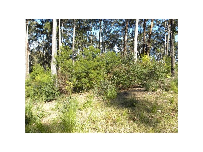 81 Litchfield Crescent, Long Beach NSW 2536