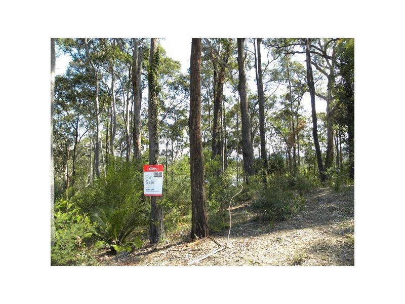 81 Litchfield Crescent, Long Beach NSW 2536