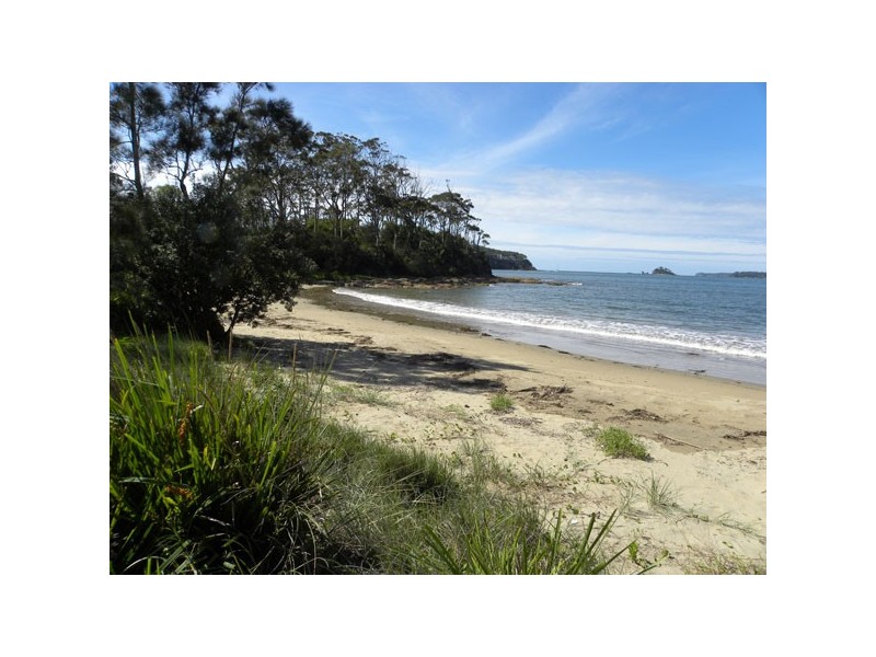 88 Berrima Parade, Surfside NSW 2536