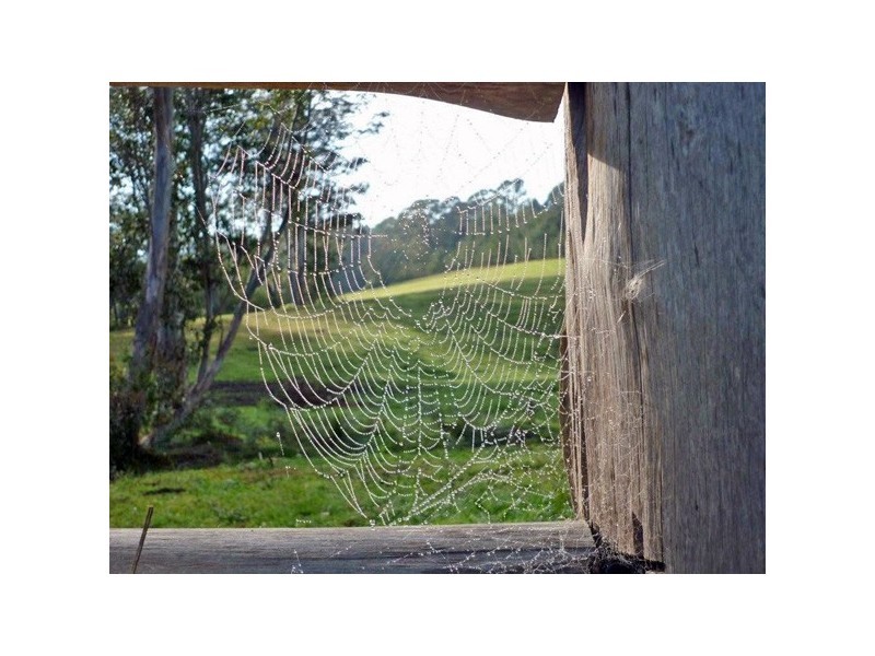 Lot 23 Brooman Road, Brooman NSW 2538