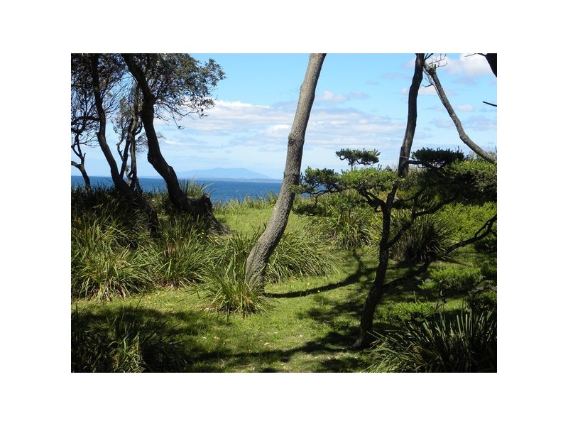 37 Burri Point Road, Guerilla Bay NSW 2536