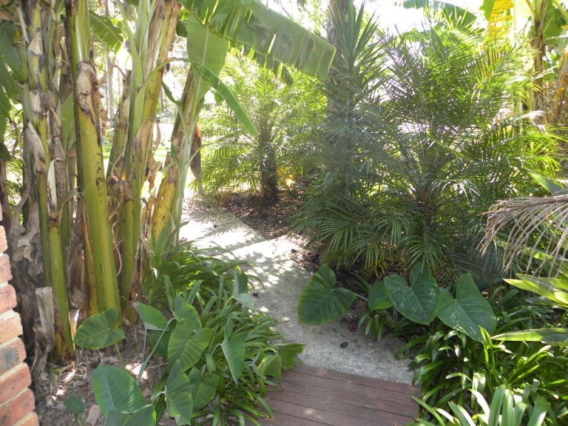 5 Burri Palm Road, Surfside NSW 2536