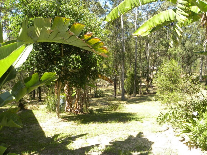 5 Burri Palm Road, Surfside NSW 2536