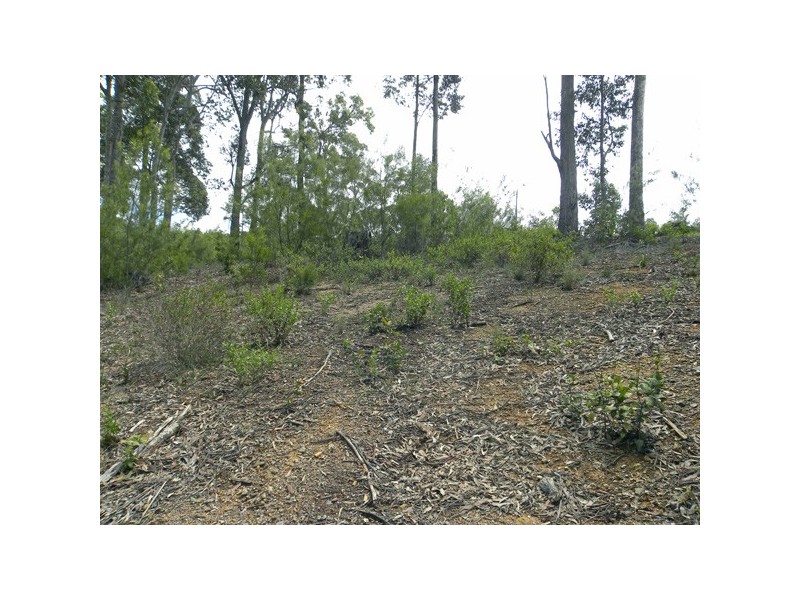 24 Bunderra Circuit, Lilli Pilli NSW 2536