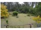 406a Backhouse Road, Mogood NSW 2538