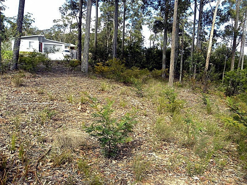 30 Wentworth Avenue, Sunshine Bay NSW 2536