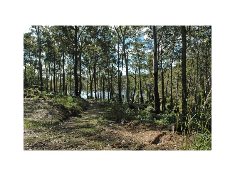 610 Windywoppa Road, Benandarah NSW 2536