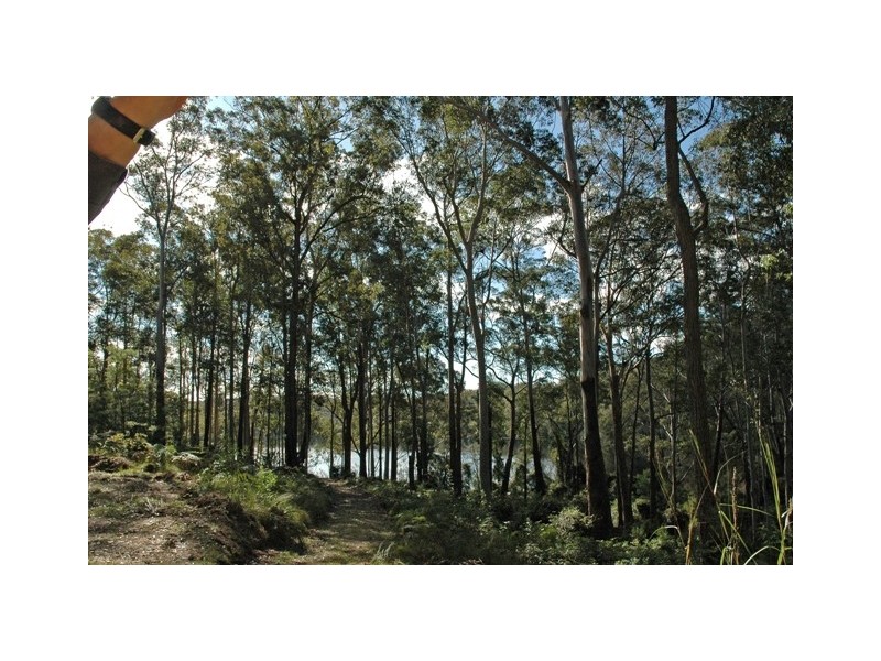 610 Windywoppa Road, Benandarah NSW 2536