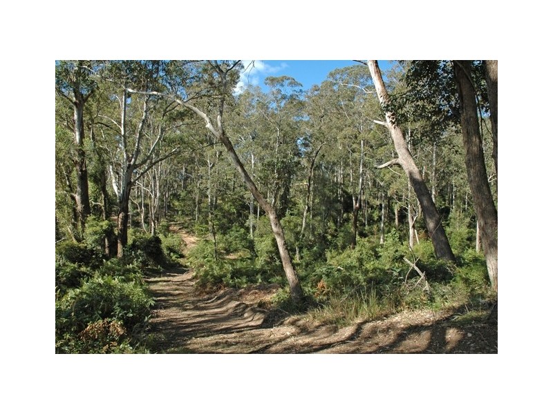 610 Windywoppa Road, Benandarah NSW 2536