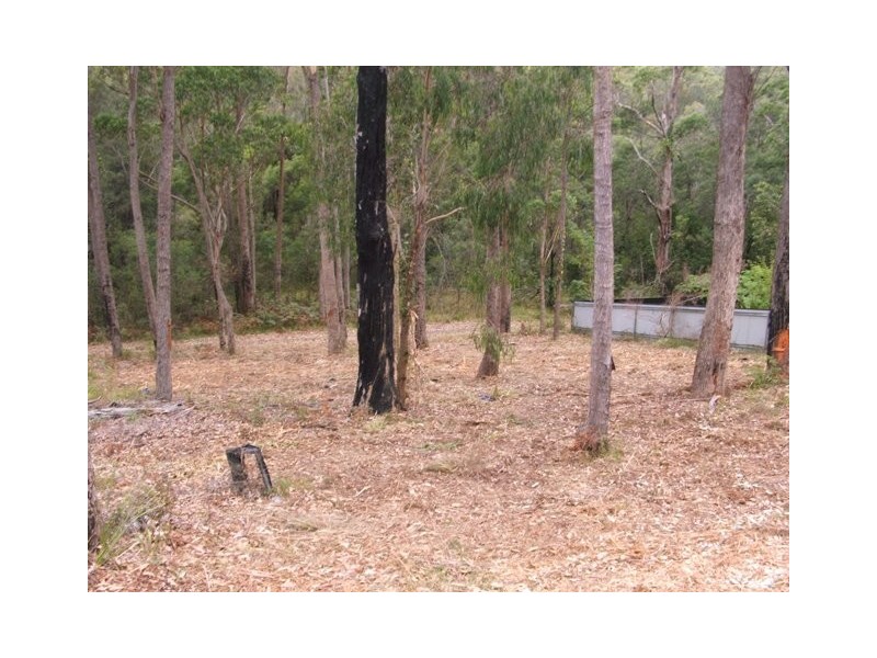 29 Oakwood Way, Catalina NSW 2536