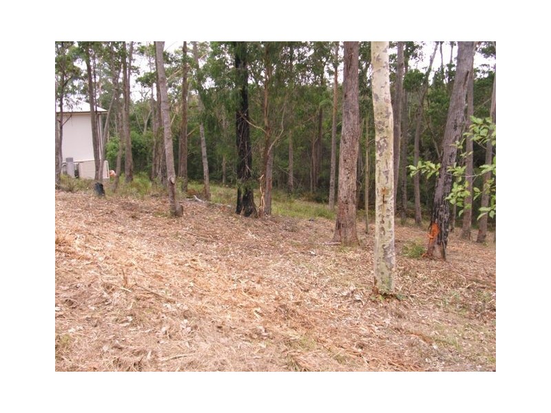29 Oakwood Way, Catalina NSW 2536