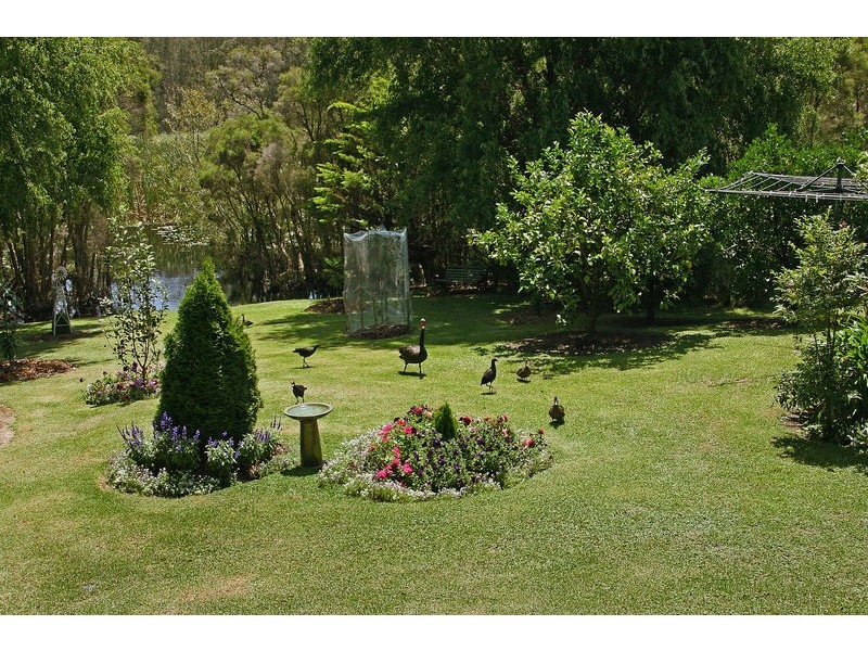 16 Albatross Road, Catalina NSW 2536