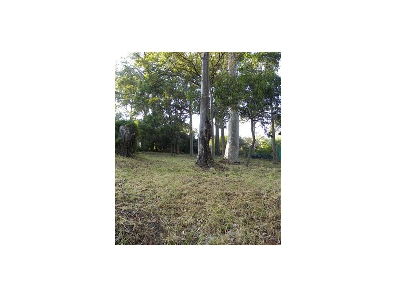 42 Beauty Crescent, Surfside NSW 2536