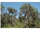 101 Burri Point Road, Guerilla Bay NSW 2536