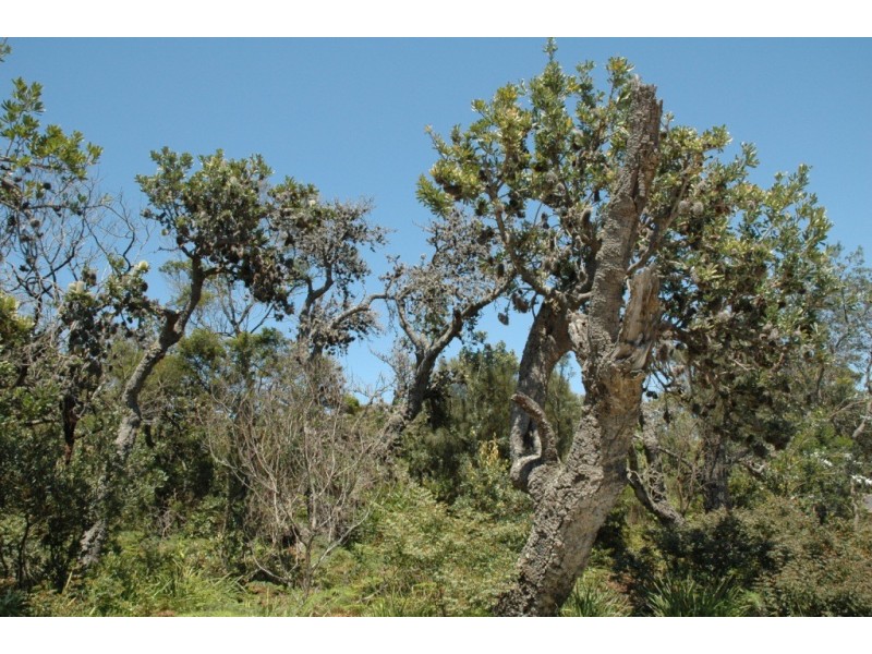 101 Burri Point Road, Guerilla Bay NSW 2536