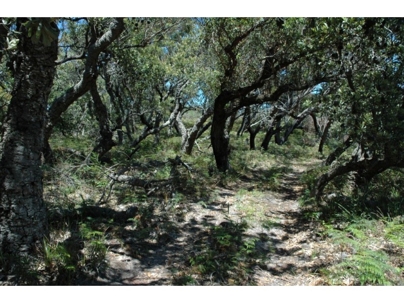 97 Burri Point Road, Guerilla Bay NSW 2536