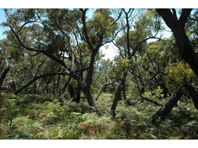 97 Burri Point Road, Guerilla Bay NSW 2536