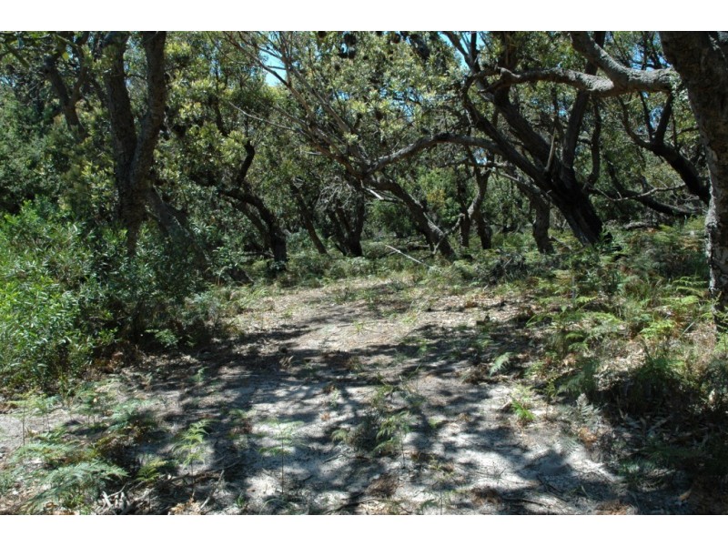 97 Burri Point Road, Guerilla Bay NSW 2536