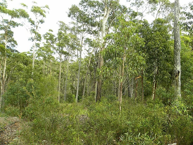 LOT 101 Clyde Road, Batemans Bay NSW 2536