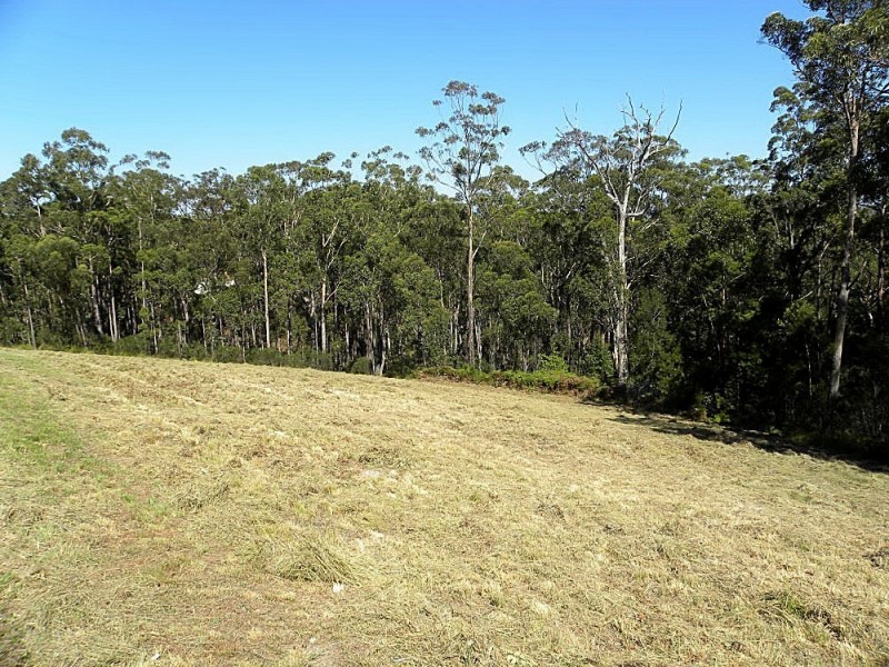 Lot 442 Sea Acres Drive, Long Beach NSW 2536