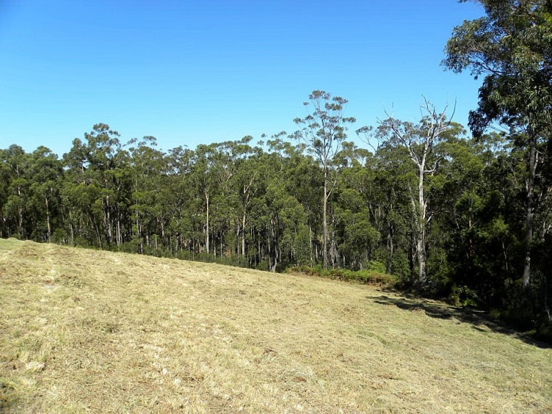 Lot 442 Sea Acres Drive, Long Beach NSW 2536