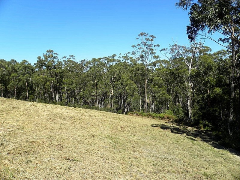 Lot 442 Sea Acres Drive, Long Beach NSW 2536