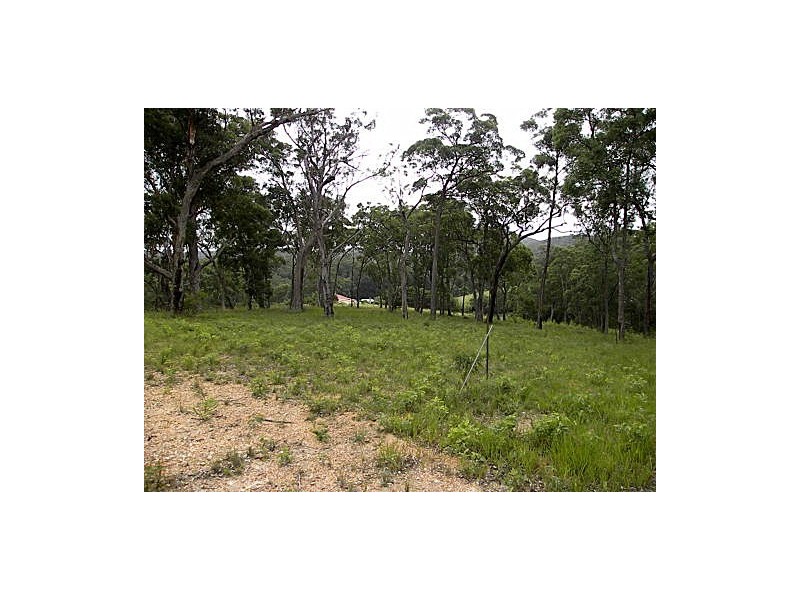 55 Old Bolaro Road, Nelligen NSW 2536