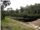 55 Old Bolaro Road, Nelligen NSW 2536