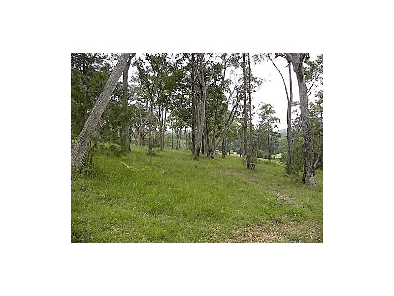 55 Old Bolaro Road, Nelligen NSW 2536