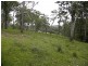 55 Old Bolaro Road, Nelligen NSW 2536