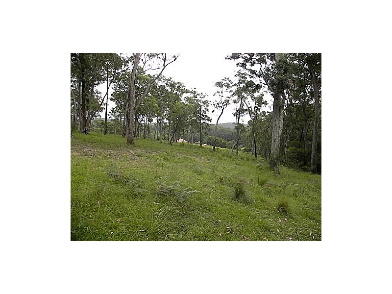 55 Old Bolaro Road, Nelligen NSW 2536