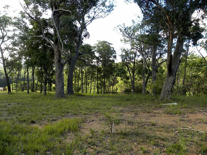 55 Old Bolaro Road, Nelligen NSW 2536