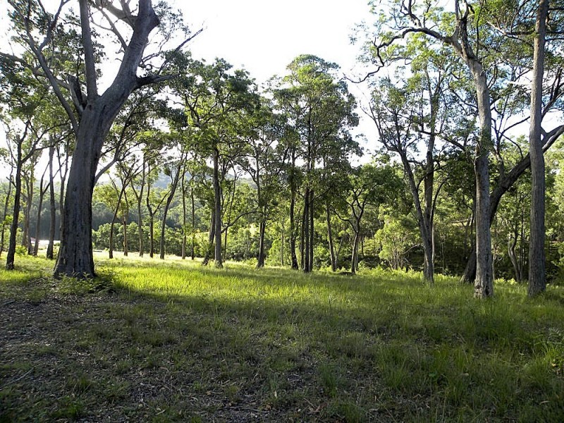 55 Old Bolaro Road, Nelligen NSW 2536