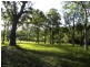 55 Old Bolaro Road, Nelligen NSW 2536