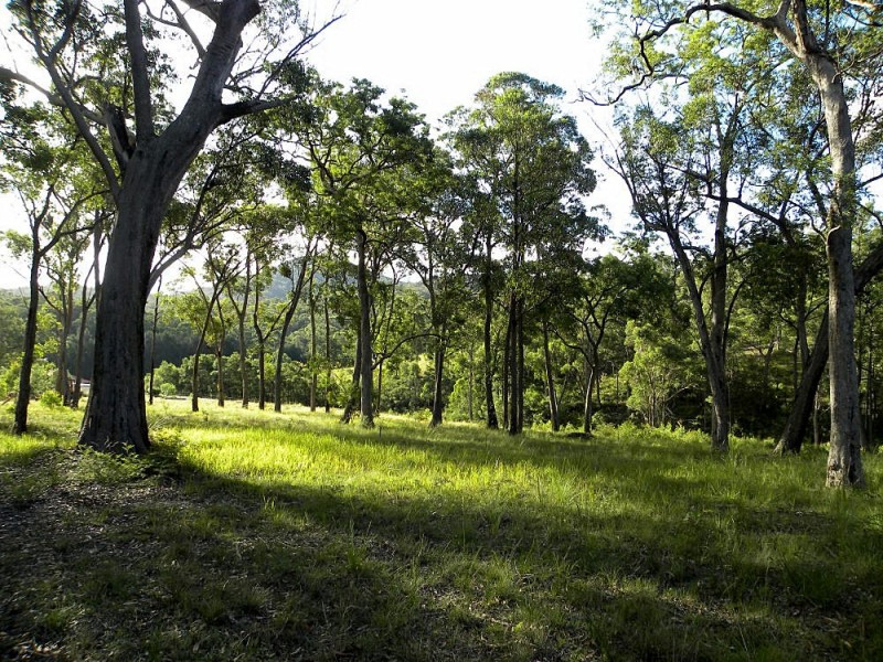 55 Old Bolaro Road, Nelligen NSW 2536