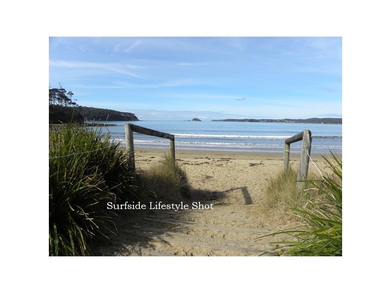 1 Bellbird Close, Surfside NSW 2536