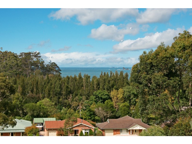 1 Bellbird Close, Surfside NSW 2536