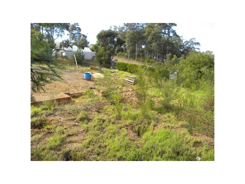 19 Carramar Drive, Lilli Pilli NSW 2536