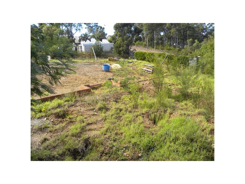 19 Carramar Drive, Lilli Pilli NSW 2536