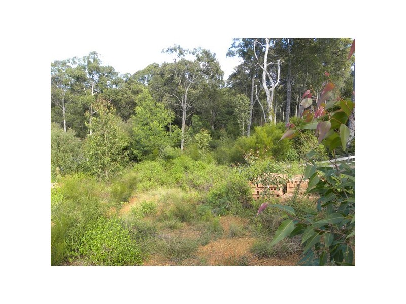 19 Carramar Drive, Lilli Pilli NSW 2536