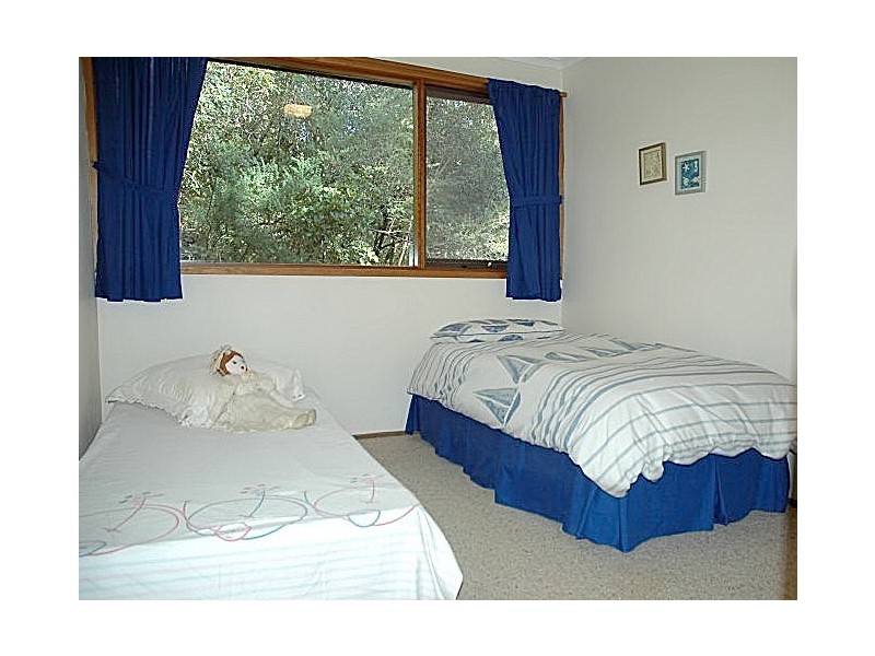 224 George Bass Drive, Lilli Pilli NSW 2536