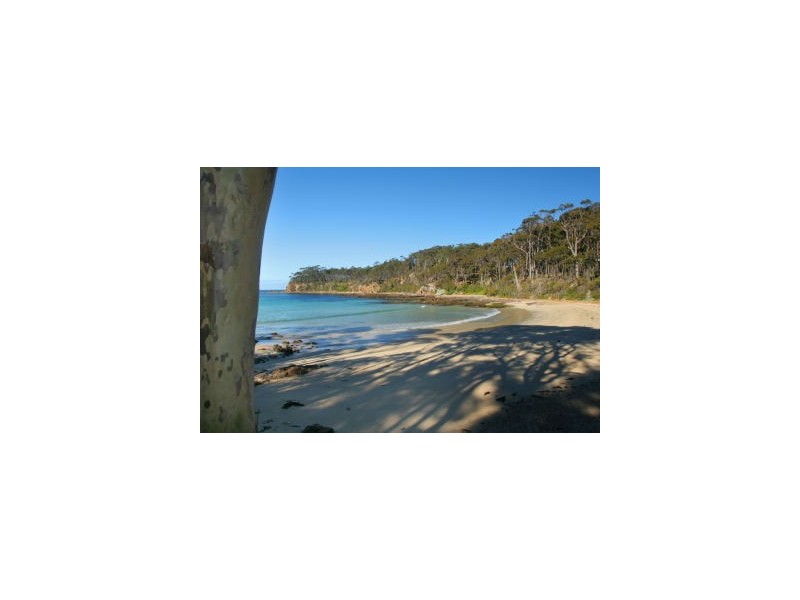 204 George Bass Drive, Lilli Pilli NSW 2536