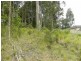 10 Correa Place, Catalina NSW 2536