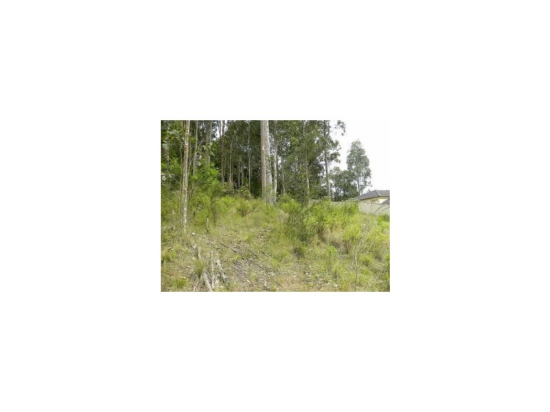 10 Correa Place, Catalina NSW 2536
