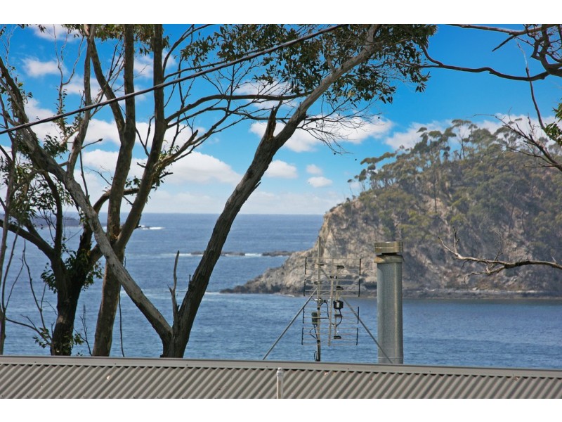 9 White Sands Place, Surf Beach NSW 2536