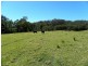 Lot 2 Black Flat Road, Currowan NSW 2536