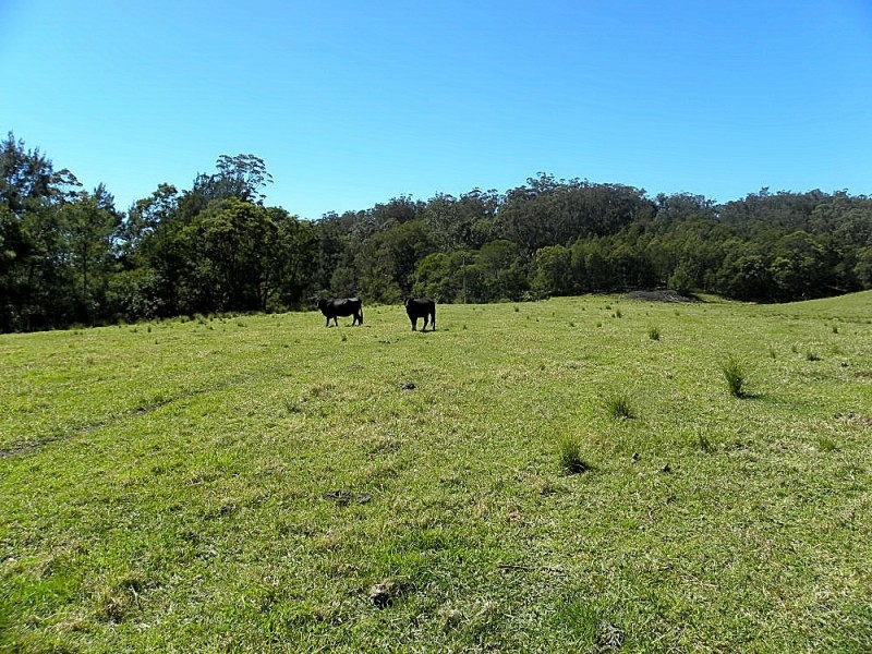 Lot 2 Black Flat Road, Currowan NSW 2536