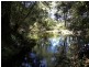 Lot 2 Black Flat Road, Currowan NSW 2536